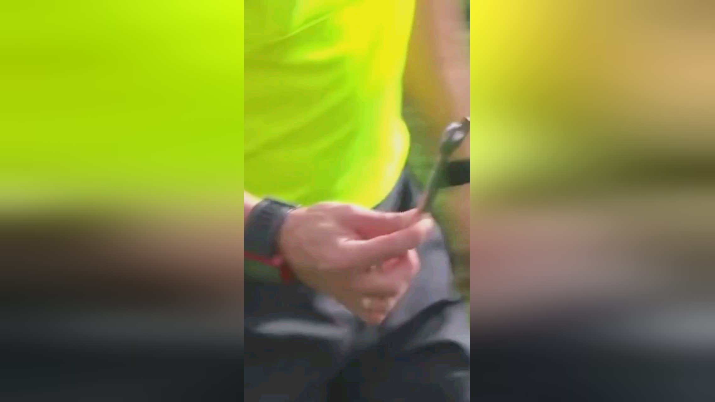 众化此次中